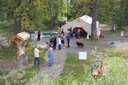 Salmon Festival