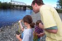 Salmon Festival