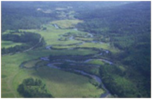 Upper Horsefly River